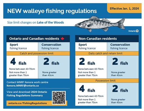 fishonline ontario|ontario fishing regulations 2023.